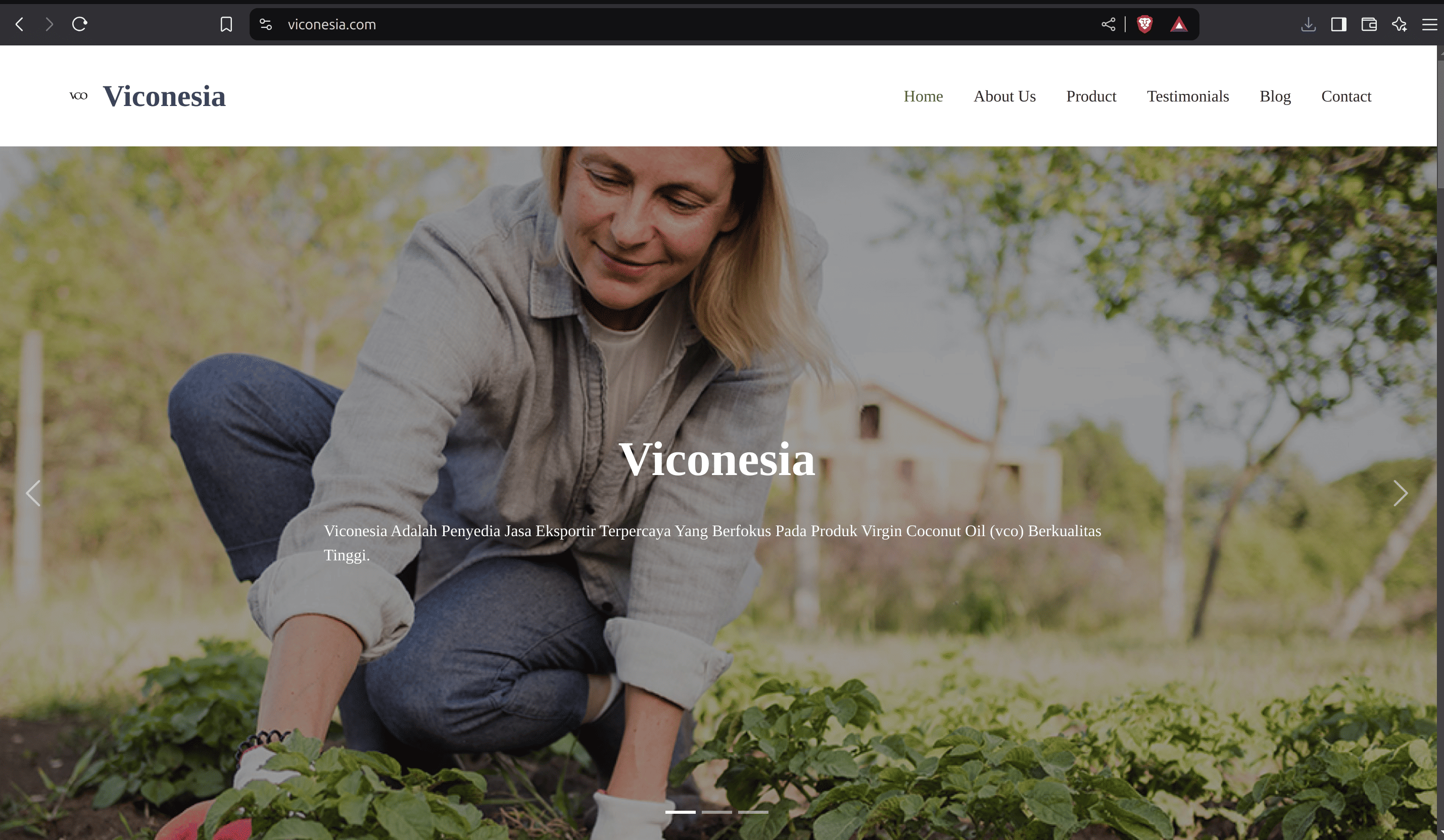 Viconesia